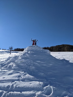 PXL 20210131 131403647